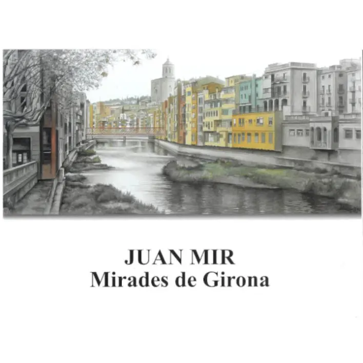 Joan Mir