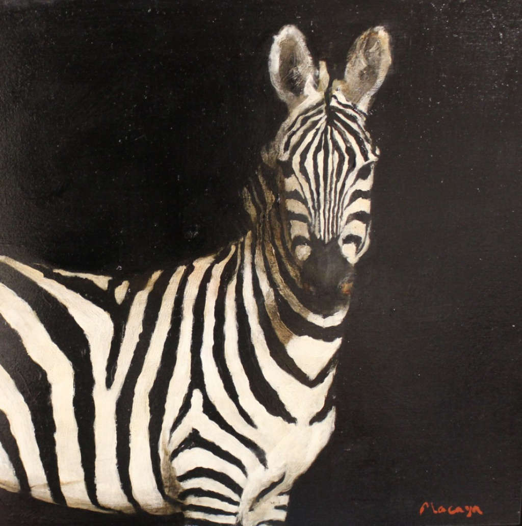 Untitled (Zebra)
