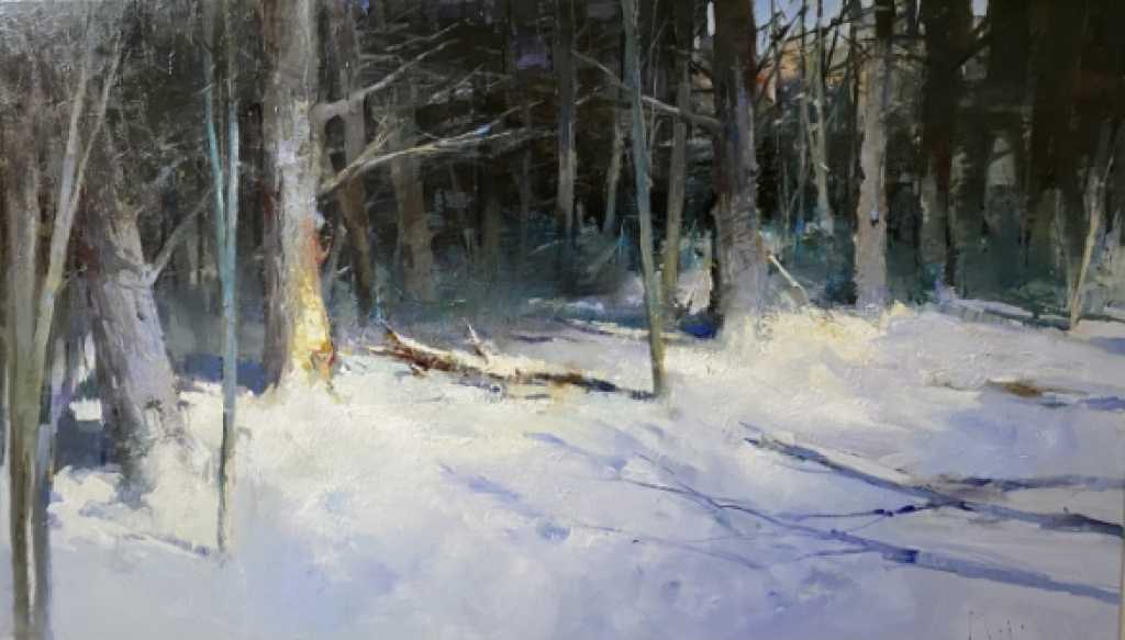 Snowy landscape