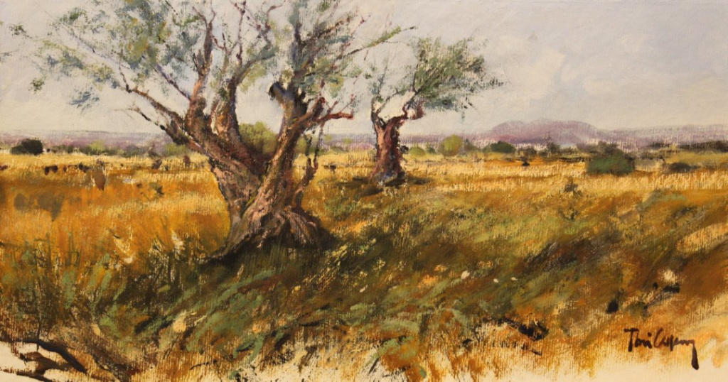 Olive trees