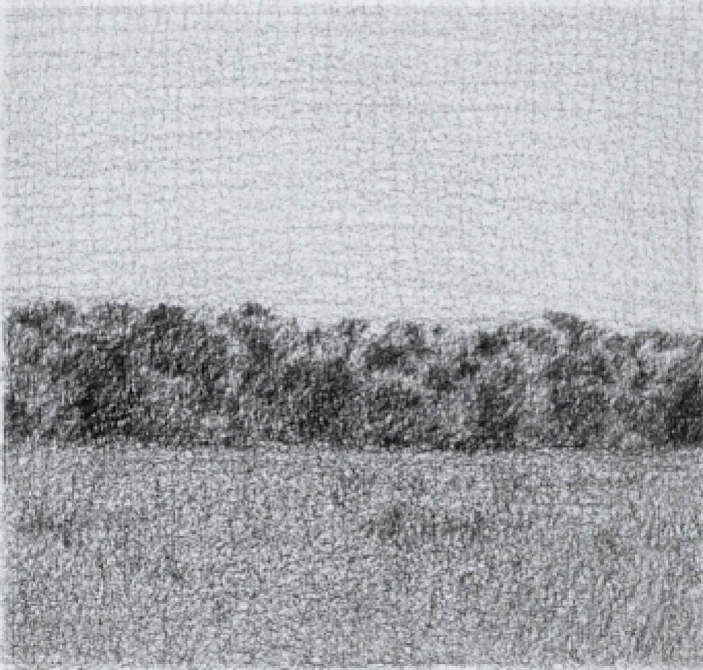 Nature XVIII