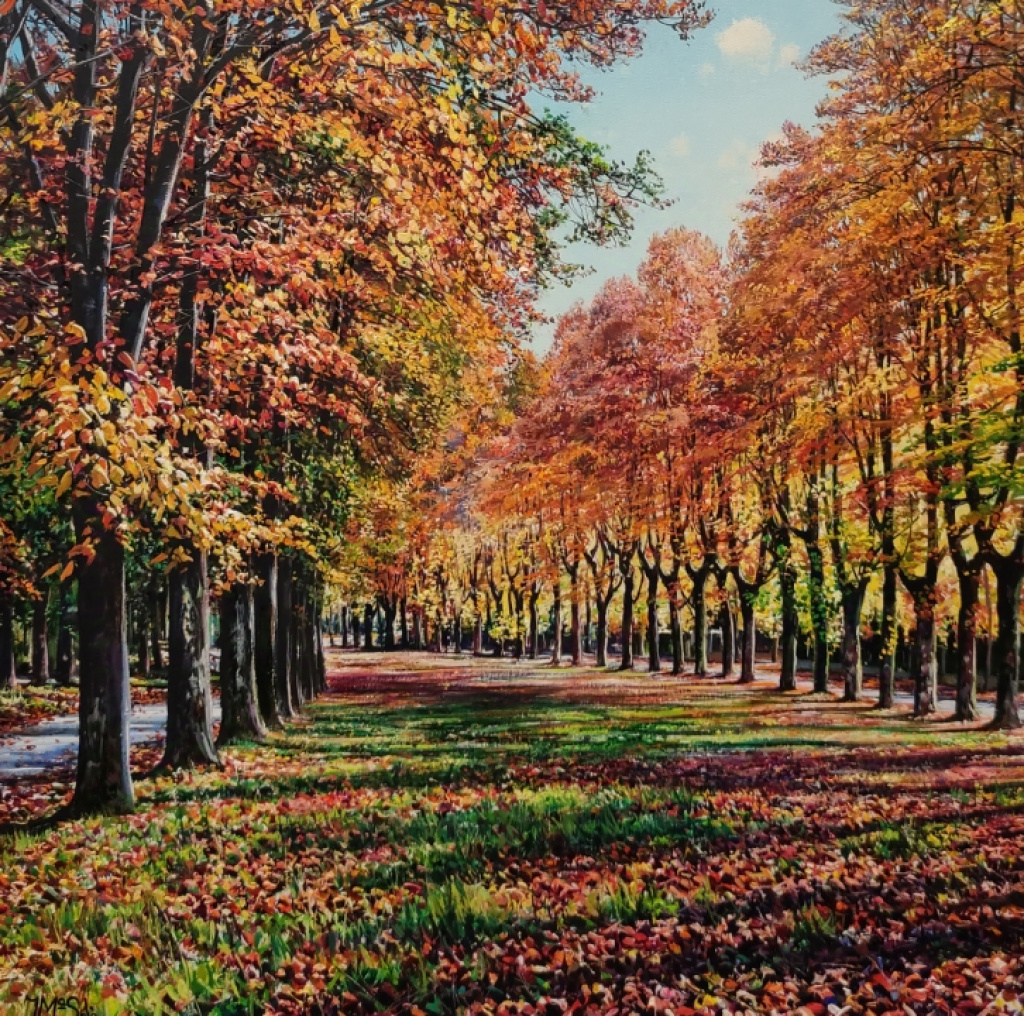 PASSEIG MARISTANY. CAMPRODON