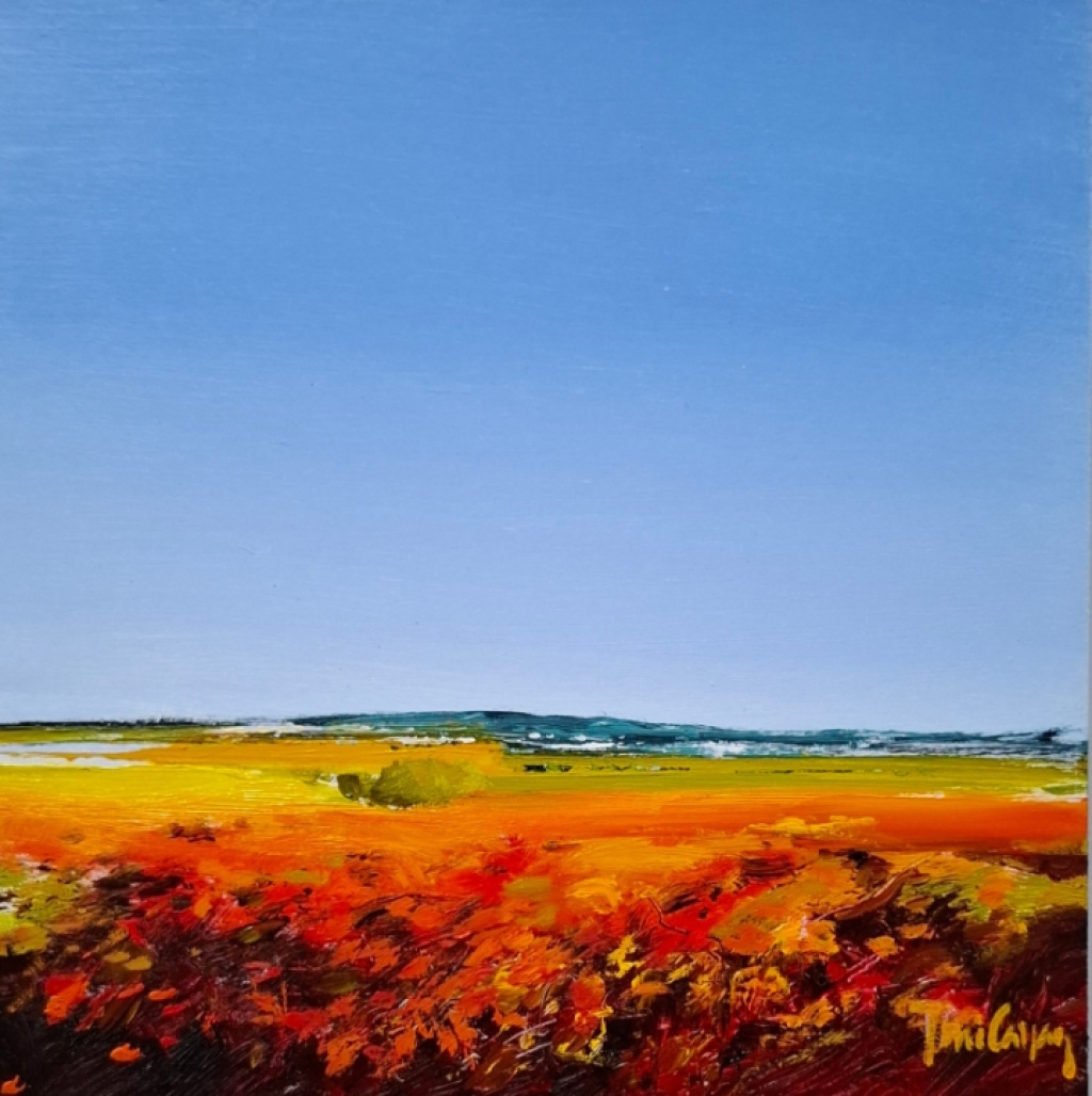 Autumn fields