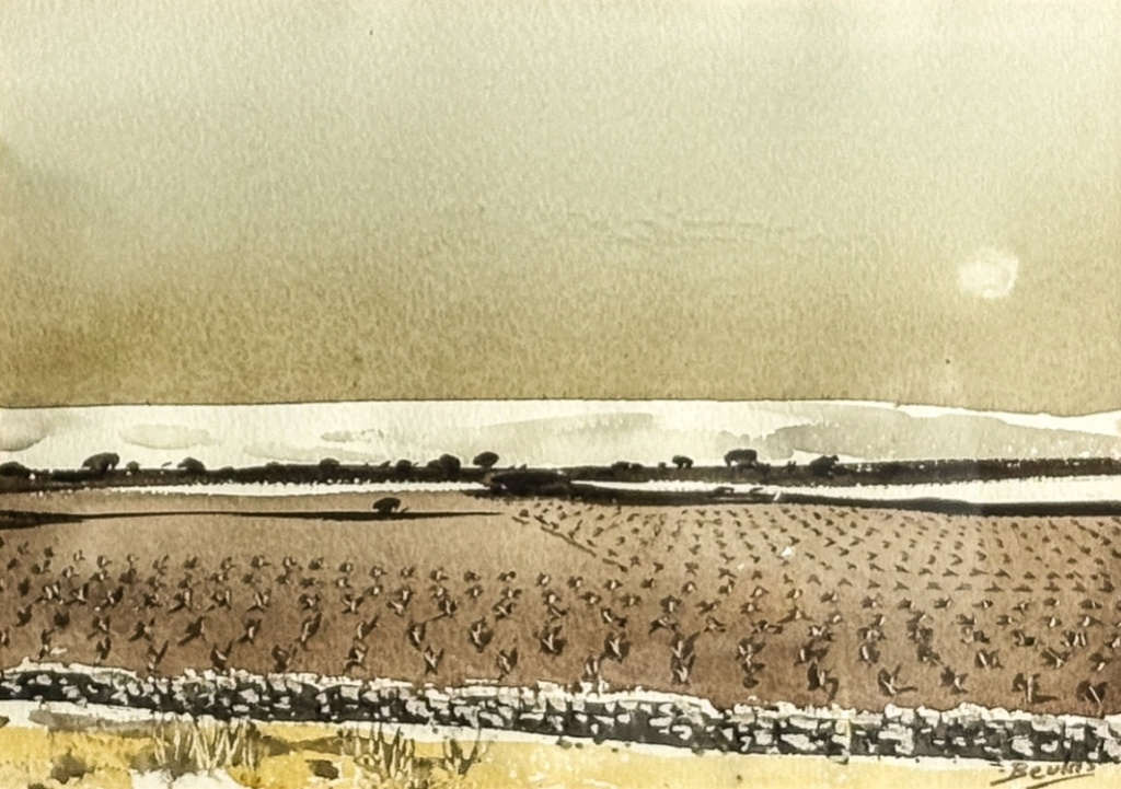 PAISATGE DE MATI