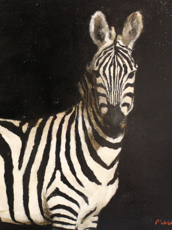 Untitled (Zebra)