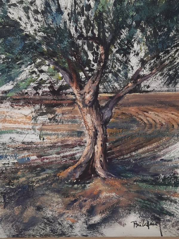 Olive trees series I
