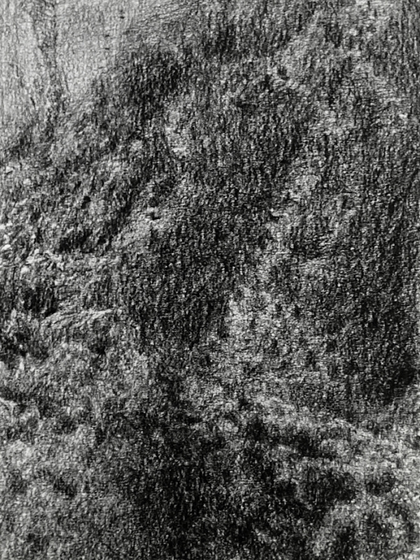 Nature XIX