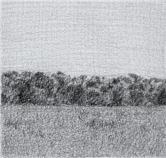 Nature XVIII