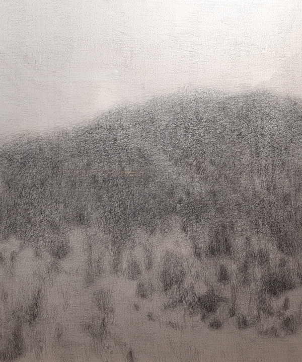Landscape XXIII