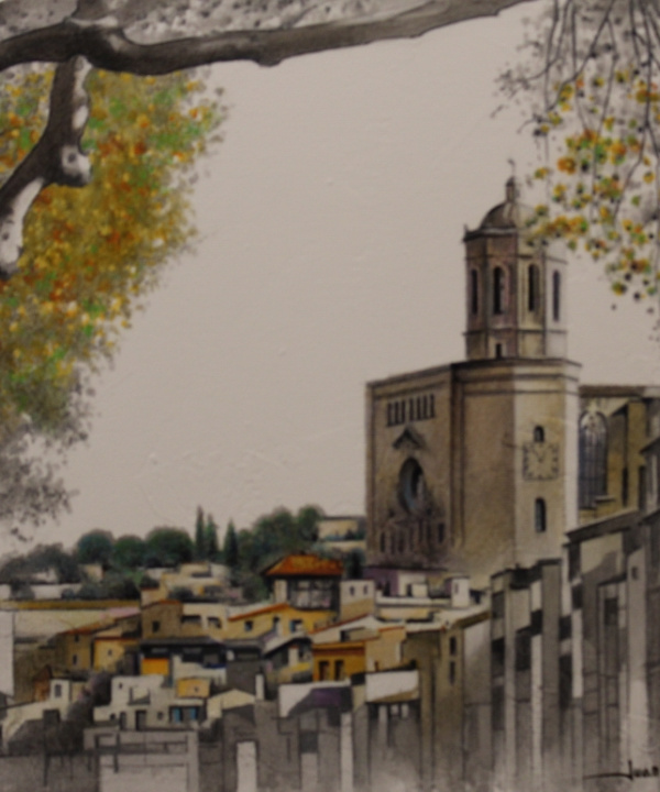 Views of the cathedral
